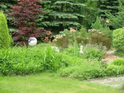 Garten Koi Fred in Roth Mittelfranken