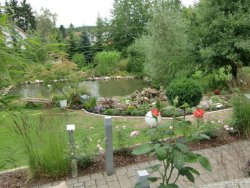 Garten Koi Fred in Roth Mittelfranken