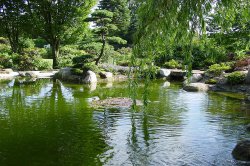 Koi-Japangärten Koi-Fred in Roth bei Nürnberg