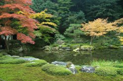 Koi-Japangärten Koi-Fred in Roth bei Nürnberg